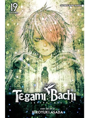 cover image of Tegami Bachi, Volume 19